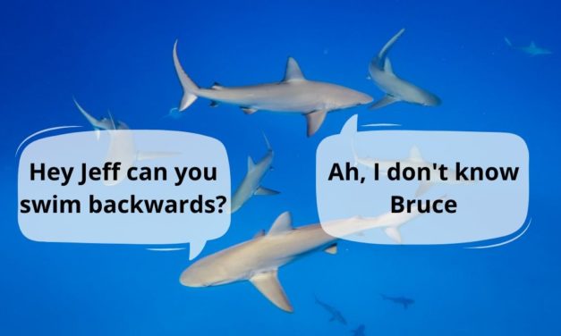 Can Sharks Swim Backwards?