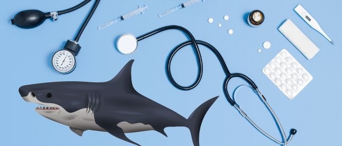 medical sharks