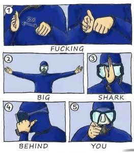 shark meme
